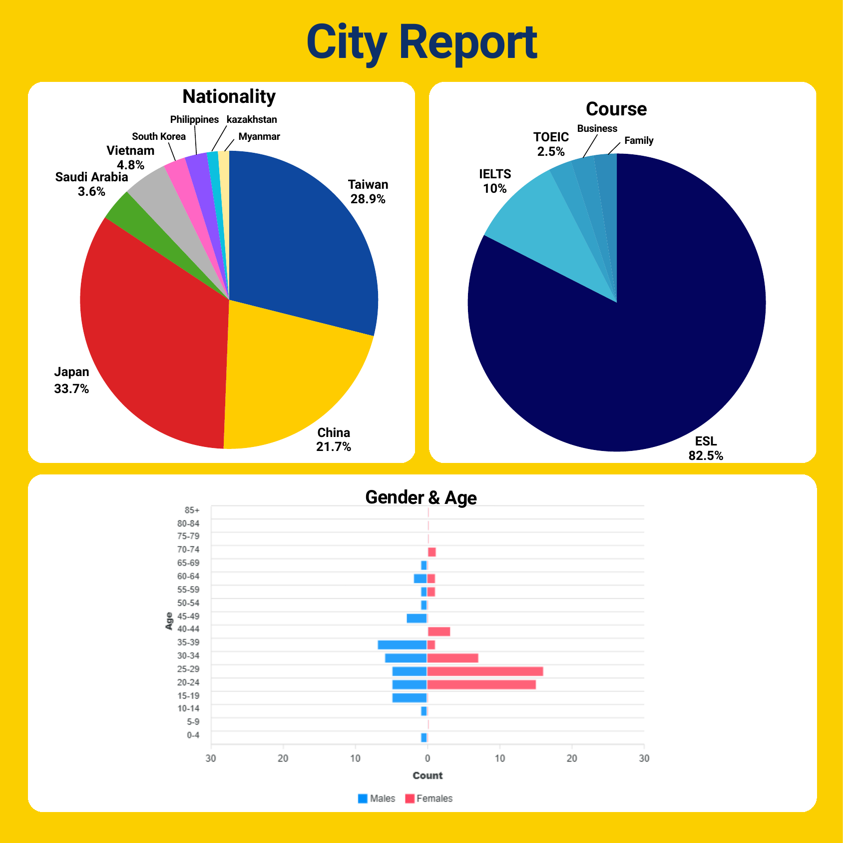 Nationality distribution and student demographics at Winning English Academy